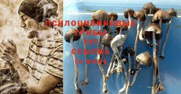 соль ск Михайловка