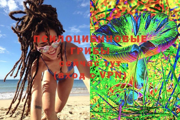 PSILOCYBIN Мегион
