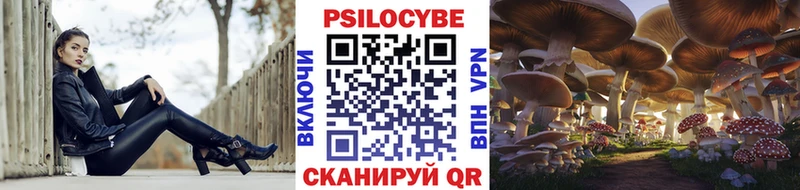 Галлюциногенные грибы мухоморы мега tor Новоалтайск