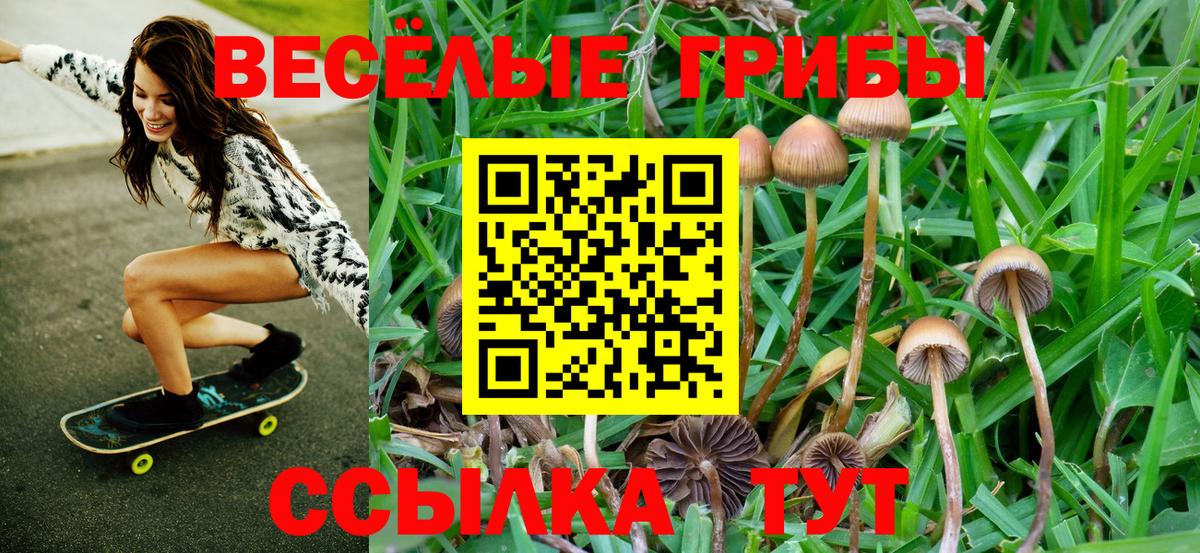 Галлюциногенные грибы GOLDEN TEACHER  Галлюциногенные грибы Psilocybe  Новоалтайск  Вход с VPN 
